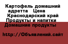 Картофель домашний адретта › Цена ­ 25 - Краснодарский край Продукты и напитки » Домашние продукты   